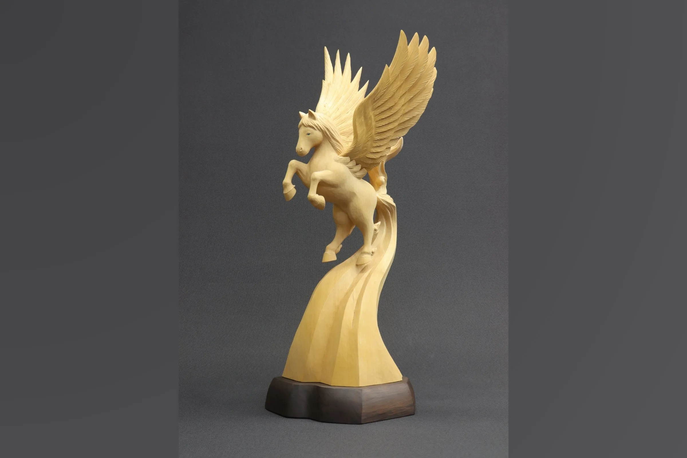 山根清_天翔る（あまかける）